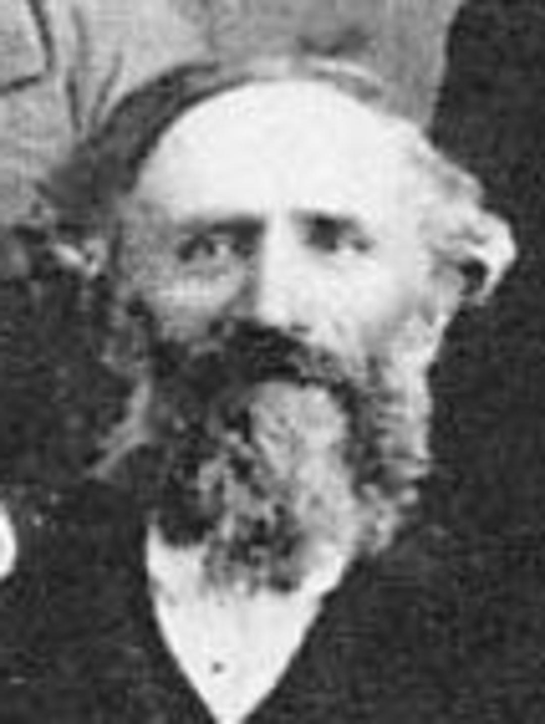 Henry Dittmore (1836 - 1893) Profile